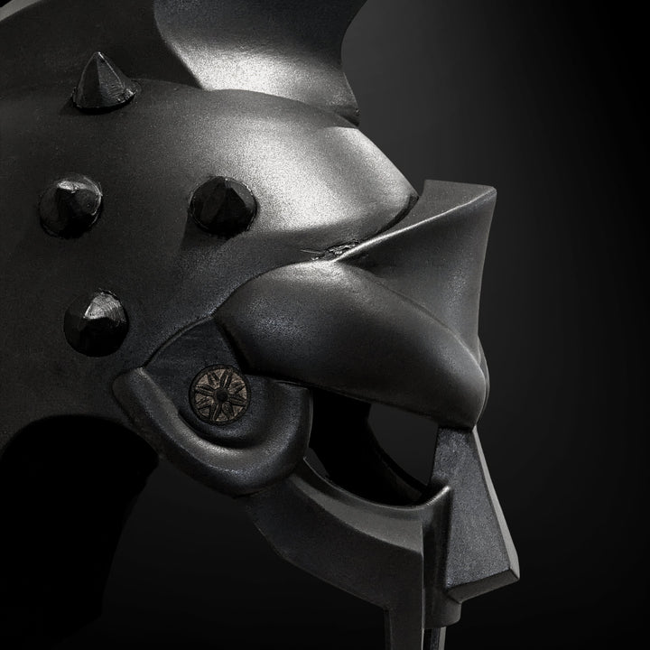 Maximus Arena Helmet