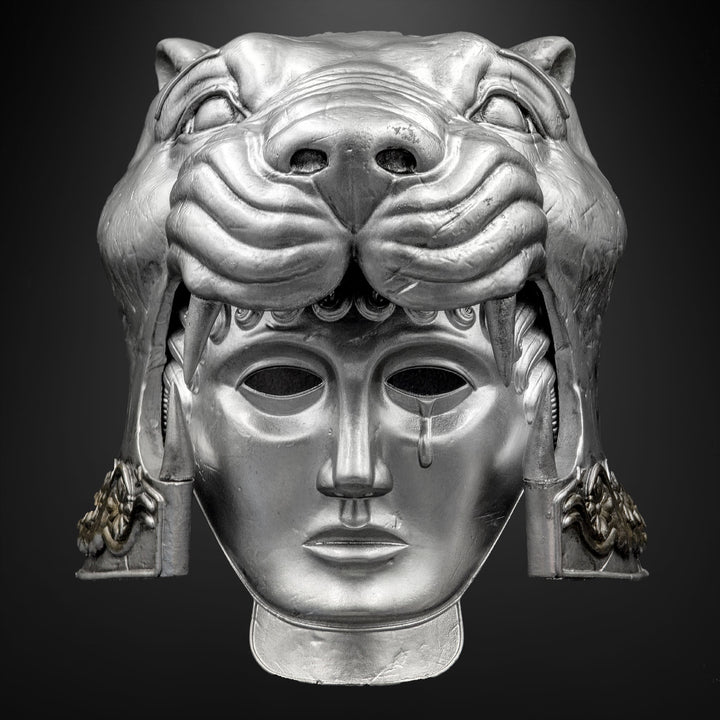 Tigris of Gaul Helmet